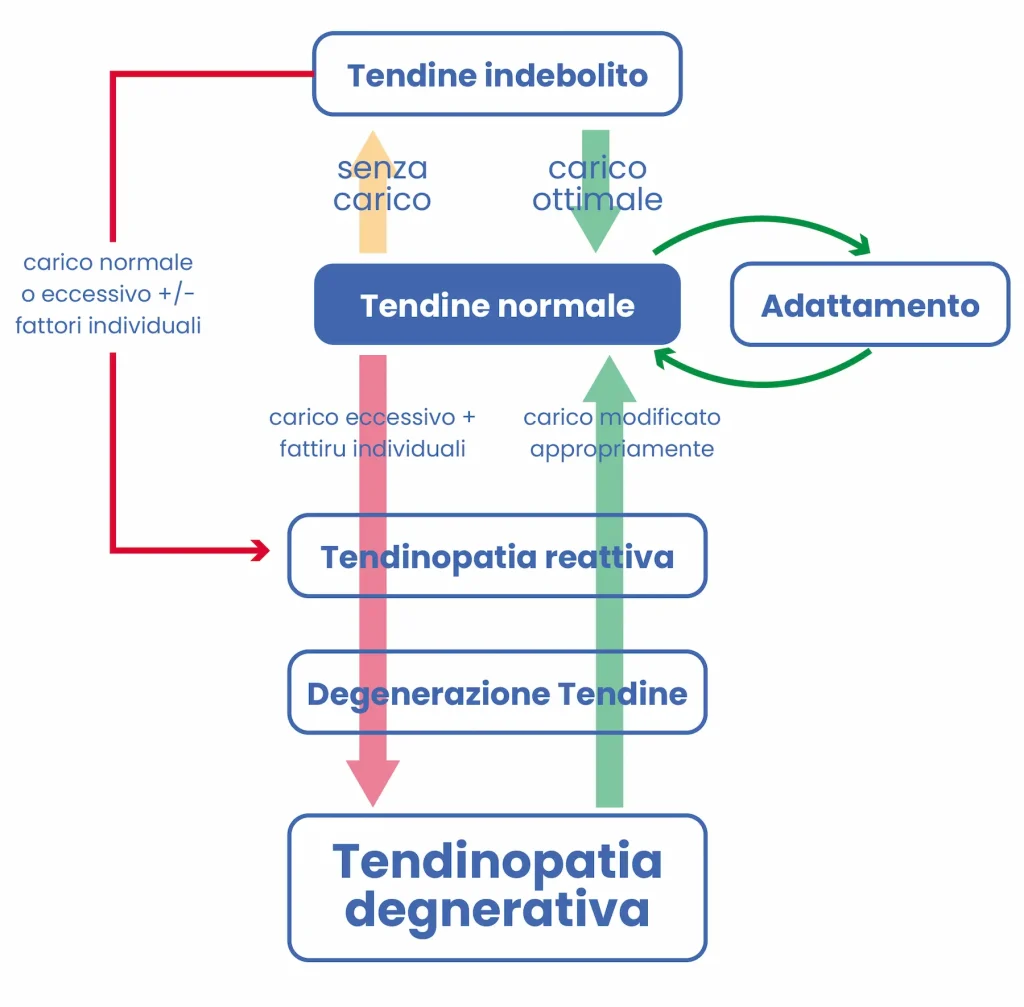 tendinopatia